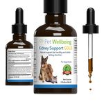 Kidney Health Supplements For Cats