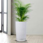 Kuber Industries Flower Pot with Plate | 18 Inch | Lightweight Polymers Indoor-Outdoor Pots | Flower Pot Gamla for Home-Office & Garden | Planter for Living Room | White