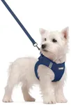 rabbitgoo Dog Harness Small Sized a