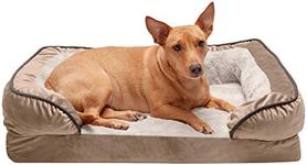 Furhaven Medium Orthopedic Dog Bed 