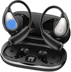 ZYDIIE AI Translation Earbuds Real 
