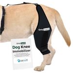 Ortocanis - Knee Immobilizer for Dogs - Right Leg Knee Brace - Injuries, Ligament Tears, Patellar Luxation, and Postoperative - With Side Splints - Made of Special Neoprene - Size: XXS de 20 a 22 cm
