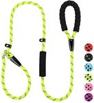 Plutus PET Slip Lead Dog Leash, Ant