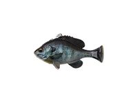 Savage Gear 3D Pulse Tail Bluegill Line Thru 5 1/2" | Freshwater Swimbait Lure for Bass | Ultra Sharp Treble Hook and Line Thru System | Built in Rattle | Slow & Moderate Sink