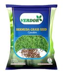 Verdor Bermuda Lawn (Doob) Grass seeds for Garden and Farmhouse 100 Gram Seed Pack (1 kg)