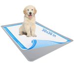 Skywin- Pee Pad Holder Tray 30 x36 Inches, Puppy Pad Holder, Easy to Clean and Store Pee Pad Holder for Dogs, Silicon Training Pad Holder, No Spill Puppy Pad Holder (Light Grey)