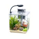 5L Starter Fish Tank Kit, 18 * 18 * 18CM Mini Plastic Aquarium with LED Light & USB Filter, DIY Aquascape for Small Betta Fish