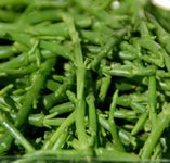 Samphire, Fresh, 500g