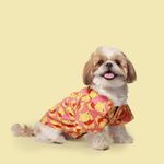 Pet Set Go Pooh Cotton Shirt (Pink)|Colourful and Comfortable Shirts for Dogs|100% Cotton.