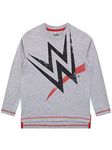 WWE Boys World Wrestling Entertainment Long Sleeved Top Grey Age 11-12 Years