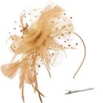 DRESHOW Fascinators Hat Flower Mesh Ribbons Feathers on a Headband and a Forked Clip Cocktail Tea Party Headwear for Girls and Women
