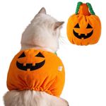 BT Bear Pet Halloween Costume,Halloween Pumpkin Coat Dog Halloween Cloak Holiday Dress Up Cosplay Costumes(Pumpkin,L)