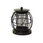 HomeZone Mini Caged Lantern nut and peanut Bird Feeder Garden Accessories and Bird Care (Lantern Bird NUT Feeder)