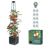 MYMULIKE Tomato Planter Box with Trellis, Tomato Cage, Raised Garden Bed Planter Box, Self-Watering Garden Trellis for Plant/Vegetable Climbing Outdoor, 10 Clips & 1 Roll Plant Tie Included