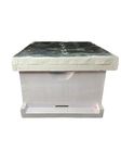 BeeReady Honeybee Wooden Hive Box | Premium Toon Wood Beehive for Apis Cerana Indica & Apis Mellifera | Durable Beekeeping Hive Box for Beginners & Professionals | Nano Hive for Bee Farming