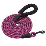 PETESCORT 6FT/10FT Strong Dog Leashes with Comfortable Padded Handle and Highly Reflective Threads for Small Medium and Large Dogs (10 Feet x1/2'' (Pack of 1), Purple)