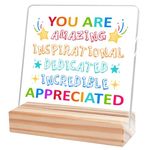 Inspirational Desk Decor,Encouragement Gifts for Women Girls Bestie Friends Coworkers,You are Appreciated Acrylic Plaque Sign for Girls Room Dorm Office Shelf Table Decor A308