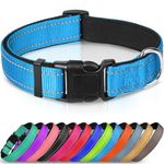 Joytale Reflective Dog Collar,Soft Neoprene Padded Breathable Nylon Pet Collar Adjustable for Large Dogs,Sky Blue,L