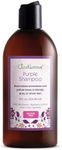 Just Nutritive Purple Toning Shampoo for Blonde, Gray, White, Silver, and Bleached Hair - Eliminate Brassiness, Boost Shine, Repairs, Hydrates, Sulfate-Free, Paraben-Free, Anti-Yellowing, 8 oz.