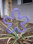 Purple Horseshoe Flower, Metal Gard