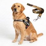 PAYTON PERRY Customized Dog Harness and Leash with Name | Personalized Dog Vest Harness | Adjustable Puppy Harness for Small Dogs (S, Army, for 5-13 Kilograms Dogs)
