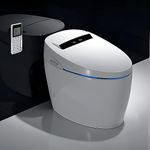 Smart Toilet