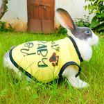 Lulala Pet t-Shirt Printed Round Neck Sleeveless Dog Vest Tank T-Shirt Tees Apparel Clothes Tees Gift for Dogs (Yellow) Small Medium and Large Dogs Cats (22 Inch)