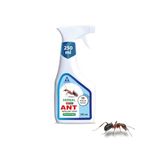 Amish Herbal Ant Spray 250ml Pack-1|10 Minutes Formula |Removes Entire Ant colony|Powerful 100% Organic No Chemical Ant Repellent Spray for Home Kitchen Office Garden Long Lasting Protection