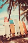 Surfboard Palm Tree Beach Surfer Surfing Photo Photograph Summer Cool Wall Decor Art Print Poster 24x36