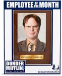 Silver Buffalo The Office Dunder Mifflin Paper Company Scranton Branch Employee of the Month Dwight K. Schrute Photo Picture Frame, 5 x 7 Inches