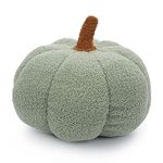 PAIKOE Halloween Pumpkin Throw Pillow, Plush Pumpkin Toy Stuffed Pumpkin Fluffy Plush Toys Soft Pumpkin Throw Pillow Gifts for Home Decoration Party Favors (Green - 28 cm)