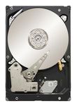 Seagate Constellation ES 1 TB 7200RPM SATA 2.0 3Gb/s 32 MB Cache 3.5 Inch Internal Hard Drive ST31000524NS - Bare Drive