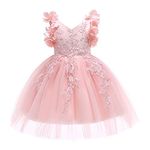 Weileenice Little Girl Sleeveless Lace Dress Light Pink Kids Formal Elegant Prom Pageant Ball Gown Flower Girls Princess Dresses Wedding Party Holiday Evening 2 3 Birthday Photo Shoot Events Gowns