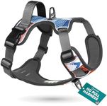 Embark Urban Dog Harness – Want to Stop Your Dog Pulling? Try Our No Pull Dog Harnesses for XL Dogs, Large, Medium, Small Dogs or Puppy. Soft, Comfortable, Size Adjustable Dog Vest Harness with Handle