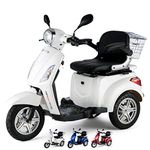 Electric Mobility Scooter