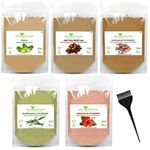 Shudh Online Amla, Reetha, Bhringraj, Shikakai & Hibiscus Powder combo for hair (100 grams each)