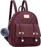 Bizanne Fashion Stylish Front Embroidery Backpack for Women | Backpack For Girls | Gift For Girls | Rakhi Gift For Sister (Wine)