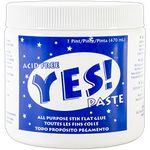 Gane Yes All-Purpose Stik Flat Glue, 1-Pint