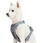 Blueberry Pet Soft & Comfy Reflective Mesh Padded No Pull Dog Harness Vest in Grey, Small, Adjustable Harnesses for Dogs