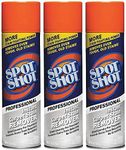 Spot Shot Professional Carpet Stain