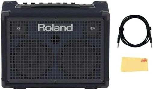 Roland KC-220 Battery-Powered Stereo Keyboard Amplifier Bundle with Instrument Cable and Austin Bazaar Polishing Cloth