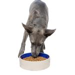 Ethical 9-1/2-Inch Stoneware Crock Dog Dish