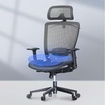 FLEXISPOT Ergonomic Office Chair, High Back Mesh Computer Chair, Comfy Home Office Desk Chairs with Lumbar Support Tilt Function 3D Headrest 2D Armrest, Heavy Duty Executive Office Chair OC3 Mesh Gray