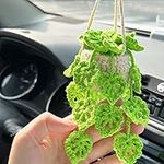 Crochet Hanging Plant for Car, Cute