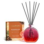 GoodMelts Reed Diffuser Set | Energies Aromatherapy - Pine, Citrus & Aqua | 100 ml with 6 Fiber Reed Sticks | Long-Lasting Home Fragrance (Up to 60 Days) | Air Freshener for Room, Bedroom & Bathroom