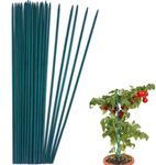 Plant Stakes 60Pcs Wooden Garden Stakes, Green Garden Wood Sturdy Bamboo Sticks for Plant Support Flower Orchid Tomato Potted Outdoor Small Plants Stakes 15"