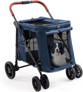 CANINE CAN
