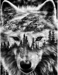 Diamond Painting Kits for Adults, 5D DIY Wolf Diamond Art Kits Full Drill Diamond Dots for Gift Wall Decor Gem Arts 12x16 inch