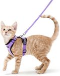 rabbitgoo Cat Harness and Leash for