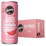 Remedy Sodaly - All Natural No Suga